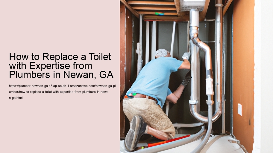 How to Replace a Toilet with Expertise from Plumbers in Newan, GA 