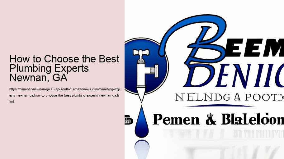 How to Choose the Best Plumbing Experts Newnan, GA