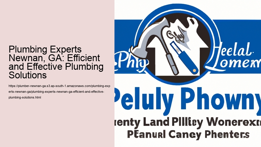 Plumbing Experts Newnan, GA: Efficient and Effective Plumbing Solutions