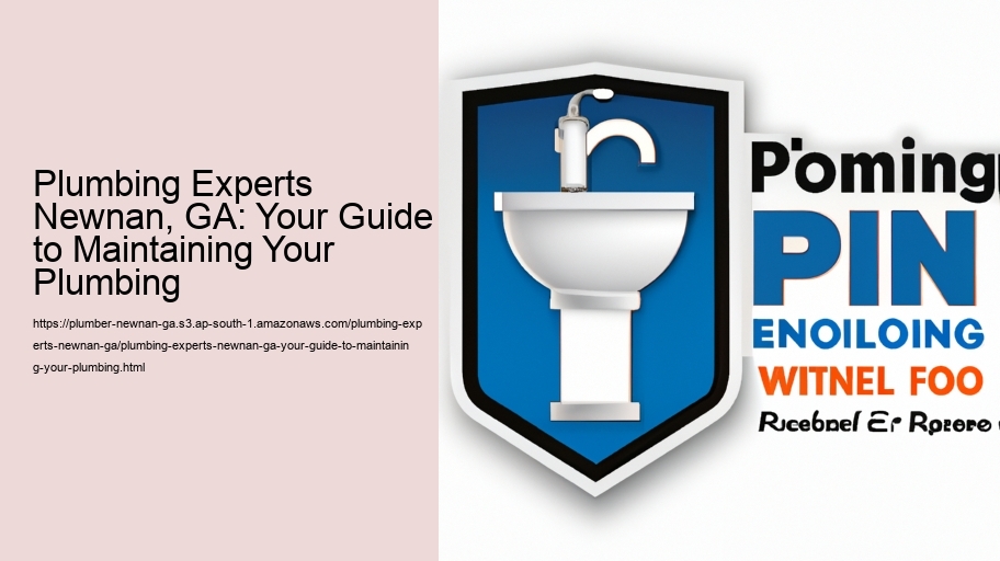 Plumbing Experts Newnan, GA: Your Guide to Maintaining Your Plumbing