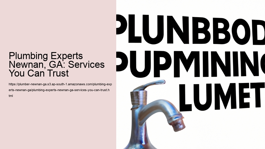 Plumbing Experts Newnan, GA: Services You Can Trust