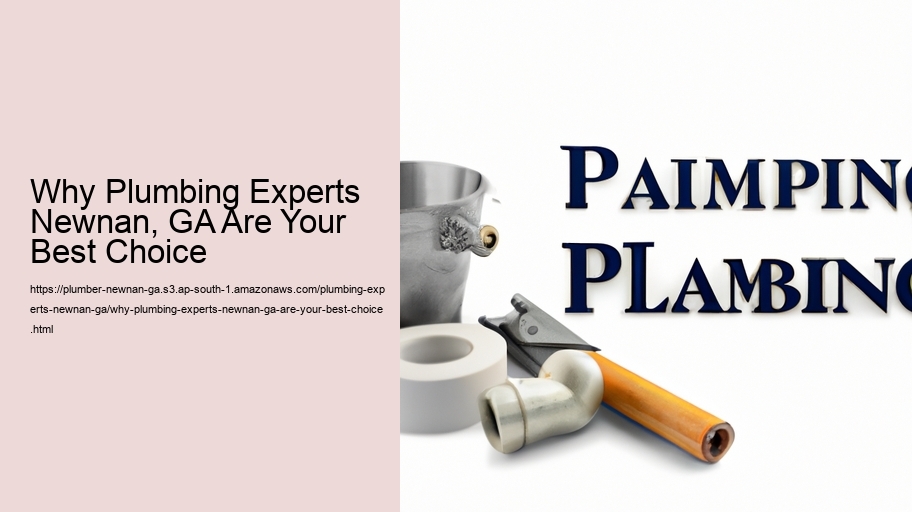 Why Plumbing Experts Newnan, GA Are Your Best Choice